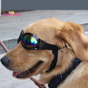 Meet your Posher, Garrett